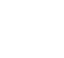 Logo icon